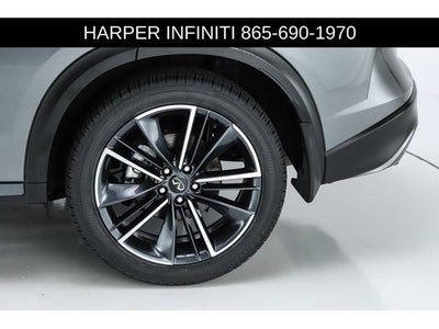 2023 INFINITI QX50 SPORT