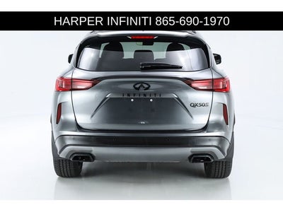 2023 INFINITI QX50 SPORT