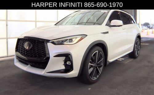 2023 INFINITI QX50 SPORT