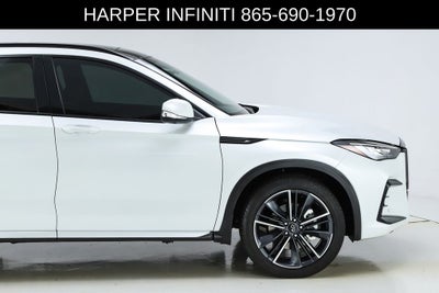 2023 INFINITI QX50 SPORT