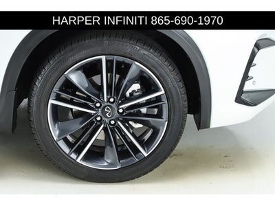 2023 INFINITI QX50 SPORT