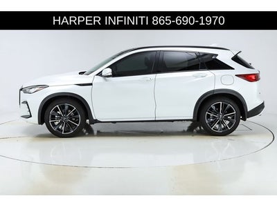 2023 INFINITI QX50 SPORT