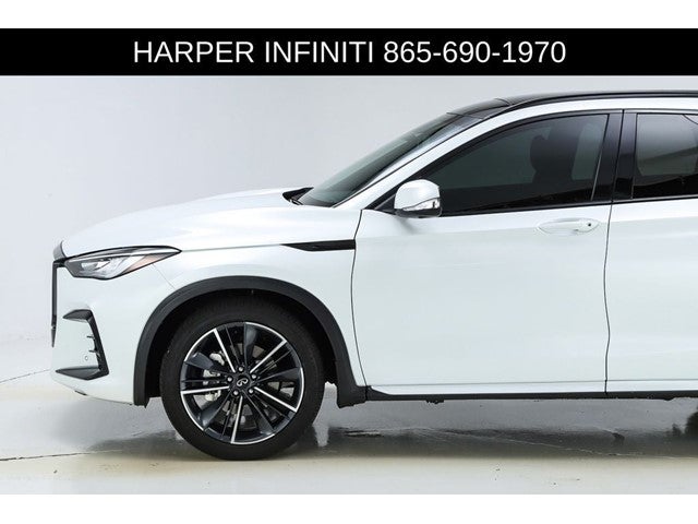2023 INFINITI QX50 SPORT