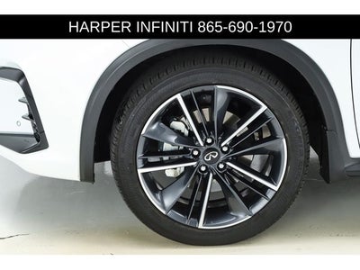 2023 INFINITI QX50 SPORT