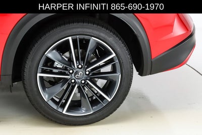 2025 INFINITI QX50 SPORT