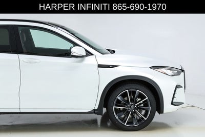 2023 INFINITI QX50 SPORT