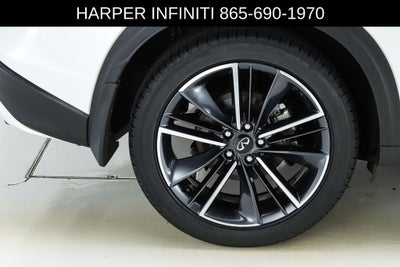 2023 INFINITI QX50 SPORT