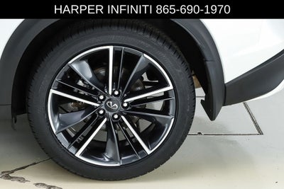 2023 INFINITI QX50 SPORT