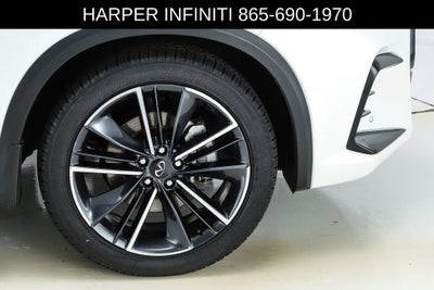 2023 INFINITI QX50 SPORT