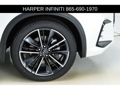 2023 INFINITI QX50 SPORT