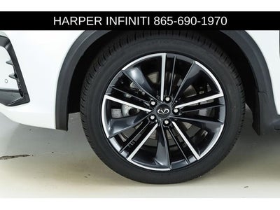2023 INFINITI QX50 SPORT
