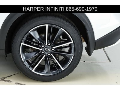 2023 INFINITI QX50 SPORT
