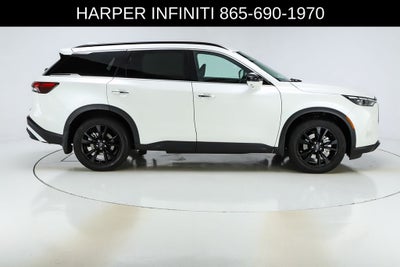 2025 INFINITI QX60 LUXE