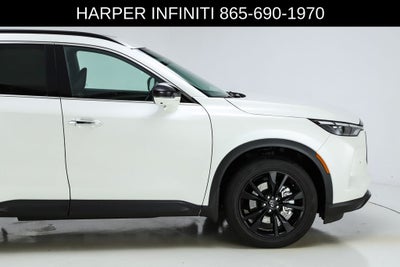 2025 INFINITI QX60 LUXE