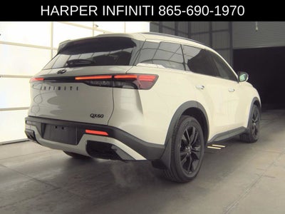 2025 INFINITI QX60 LUXE