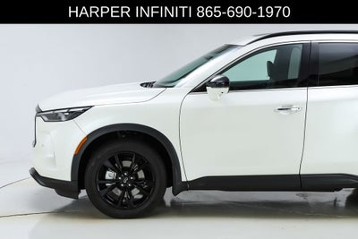 2025 INFINITI QX60 LUXE