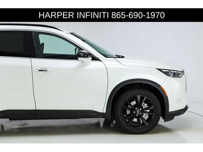 2025 INFINITI QX60 LUXE