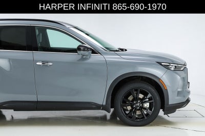 2025 INFINITI QX60 LUXE