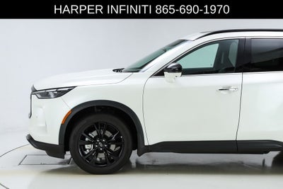 2025 INFINITI QX60 LUXE