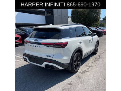 2025 INFINITI QX60 LUXE