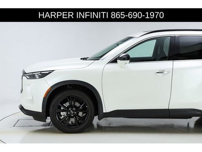 2025 INFINITI QX60 LUXE