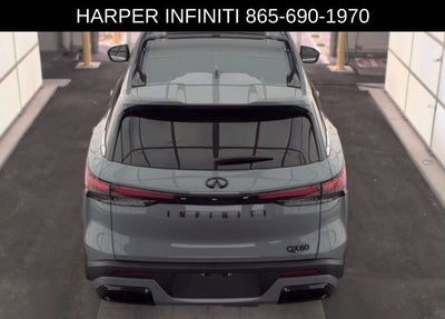 2025 INFINITI QX60 LUXE