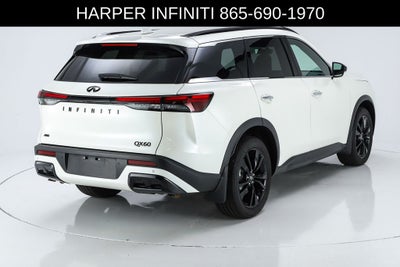 2025 INFINITI QX60 LUXE