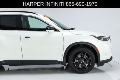 2025 INFINITI QX60 LUXE