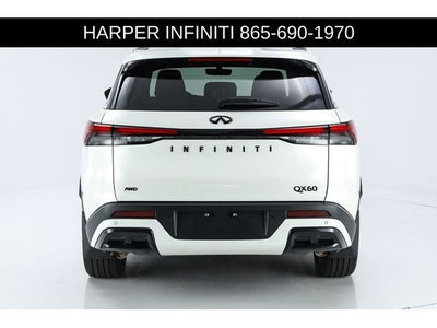 2025 INFINITI QX60 LUXE