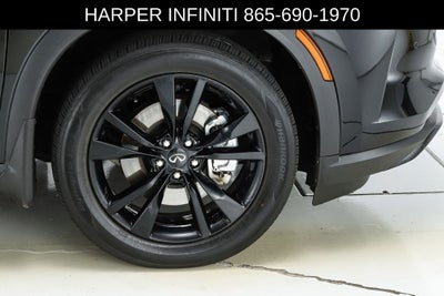 2025 INFINITI QX60 LUXE