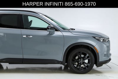 2025 INFINITI QX60 LUXE