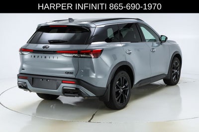 2025 INFINITI QX60 LUXE