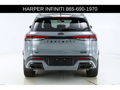 2025 INFINITI QX60 LUXE
