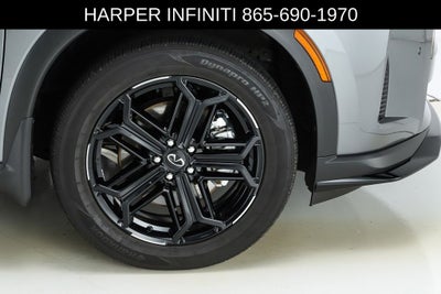 2026 INFINITI QX60 SPORT