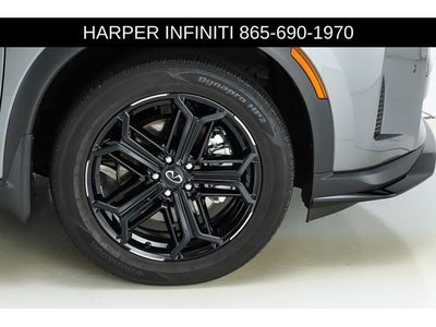 2026 INFINITI QX60 SPORT