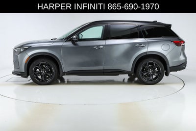 2026 INFINITI QX60 SPORT
