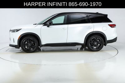 2026 INFINITI QX60 SPORT