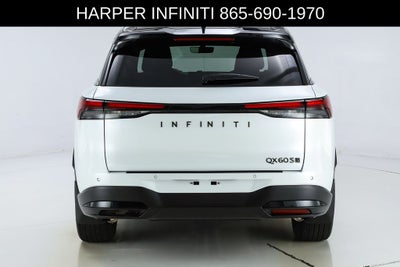 2026 INFINITI QX60 SPORT