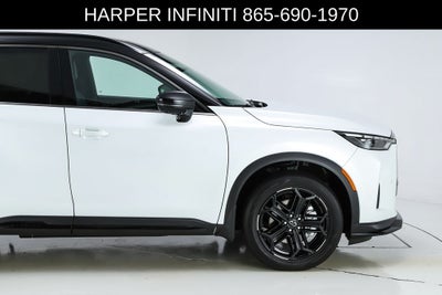 2026 INFINITI QX60 SPORT