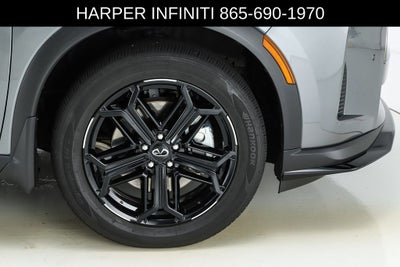 2026 INFINITI QX60 SPORT