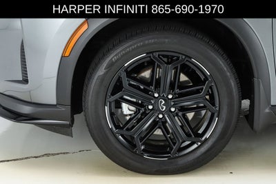 2026 INFINITI QX60 SPORT