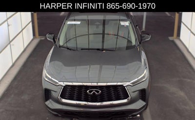 2023 INFINITI QX60 PURE