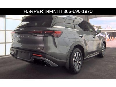 2023 INFINITI QX60 PURE