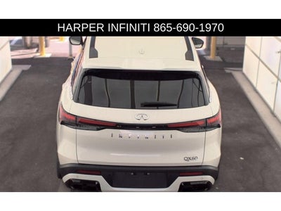 2024 INFINITI QX60 PURE