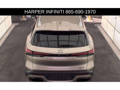 2024 INFINITI QX60 LUXE