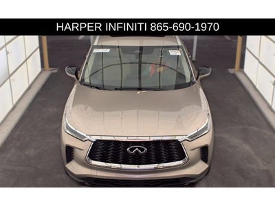 2024 INFINITI QX60 LUXE
