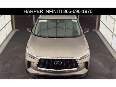 2024 INFINITI QX60 LUXE