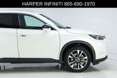 2023 INFINITI QX60 LUXE