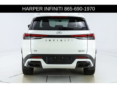 2023 INFINITI QX60 LUXE