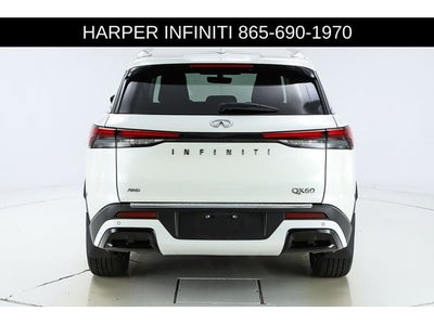 2023 INFINITI QX60 LUXE